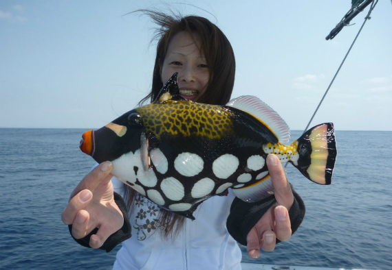 底物 根魚１０種類 エサ釣り 沖縄の釣り船クレーンズ 鶴丸
