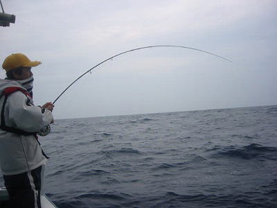魚を釣っている男