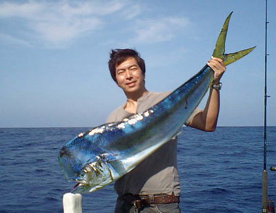シイラ１２ｋｇ出る パヤオのエサ釣り 沖縄の釣り船クレーンズ 鶴丸